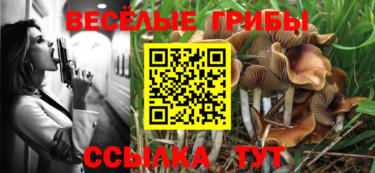 Псилоцибиновые грибы мицелий Сорочинск