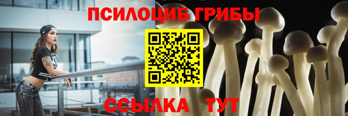 Сорочинск  цены   Вход с VPN  Галлюциногенные грибы GOLDEN TEACHER  Галлюциногенные грибы Psilocybine cubensis 